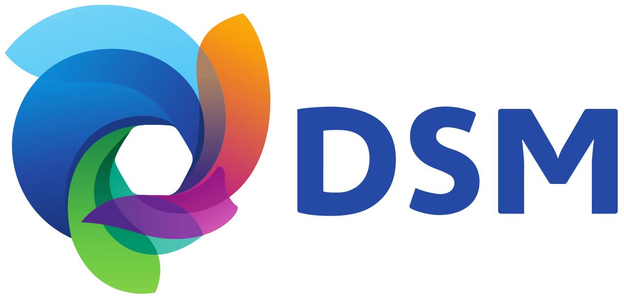 DSM Logo