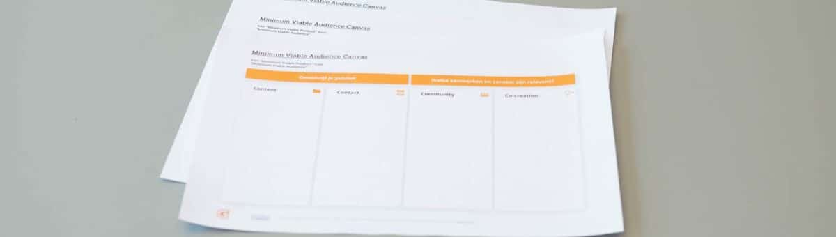 Minimum viable audience canvas